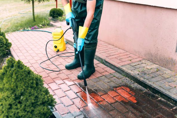 Solar Panel Cleaning in Deridder, LA