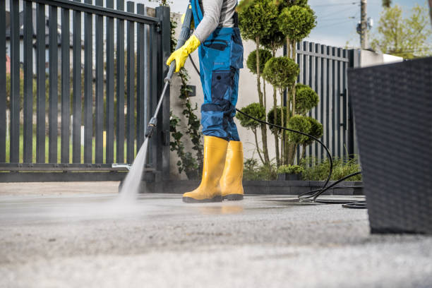 Best Roof Washing  in Deridder, LA